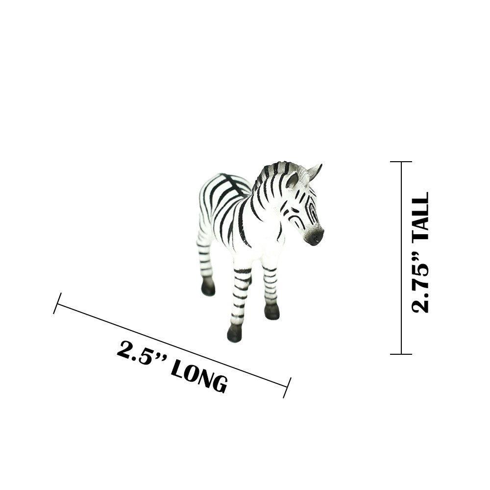 MEASUREMENTS