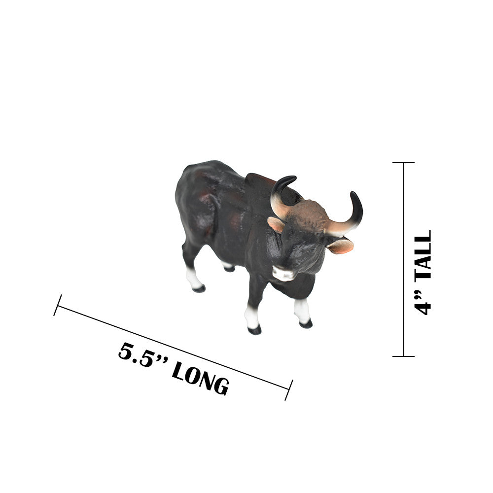 MEASUREMENTS