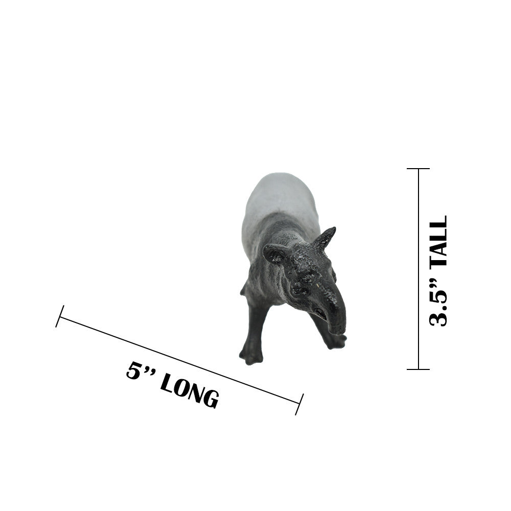 MEASUREMENTS