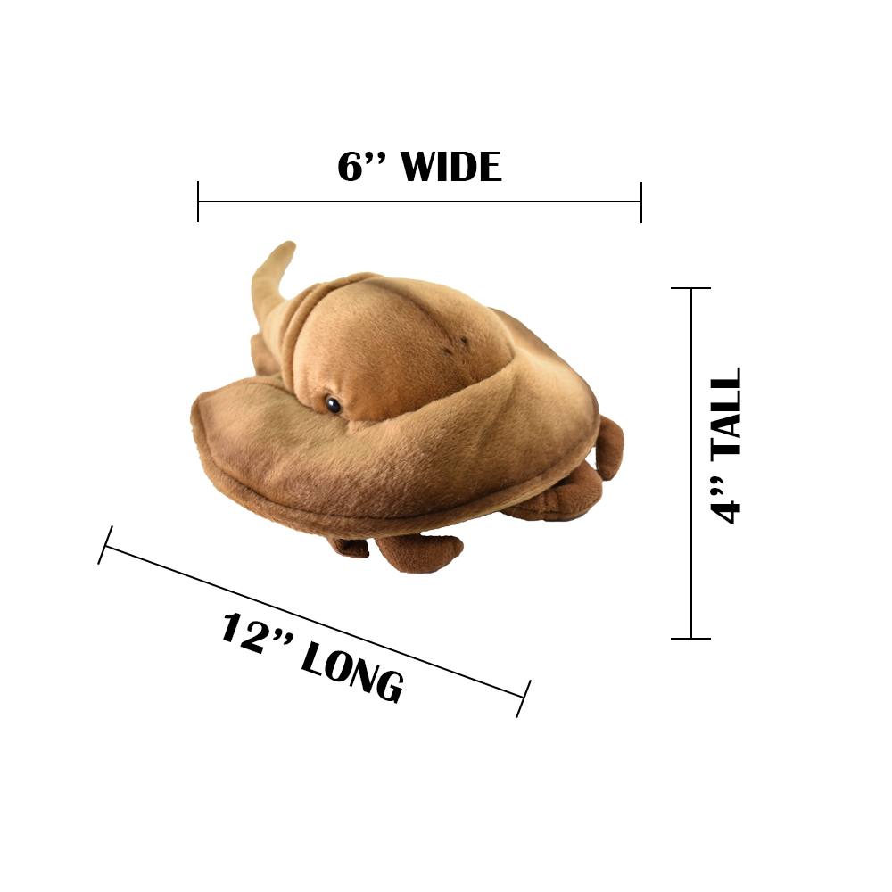 Horseshoe Crab, Realistic, Lifelike, Stuffed, Ocean, Beach, Soft, Toy, Educational, Animal, Kids, Gift, Very Nice Plush Animal       12"