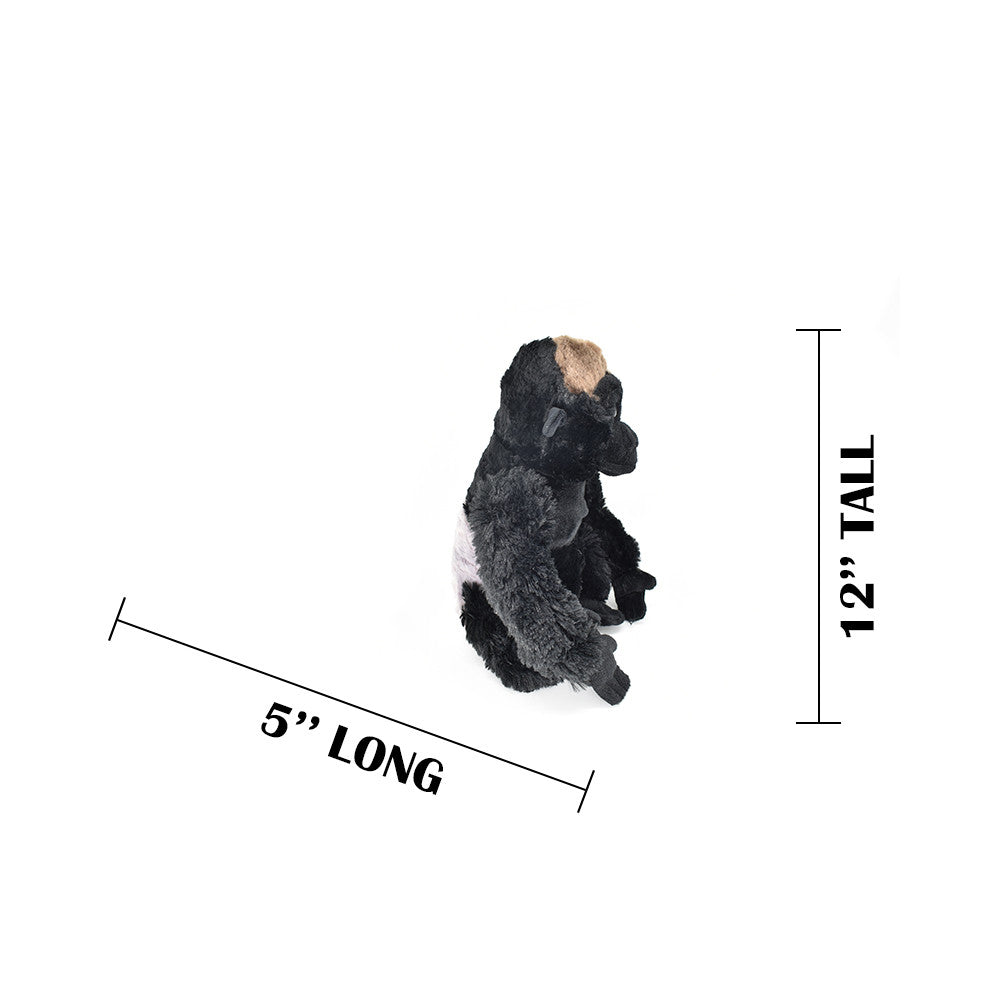 MEASUREMENTS