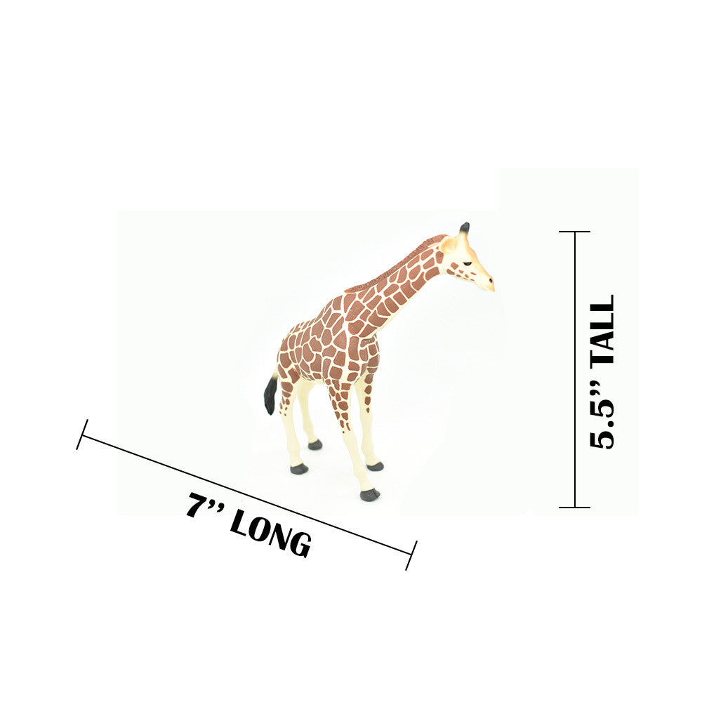 MEASUREMENTS