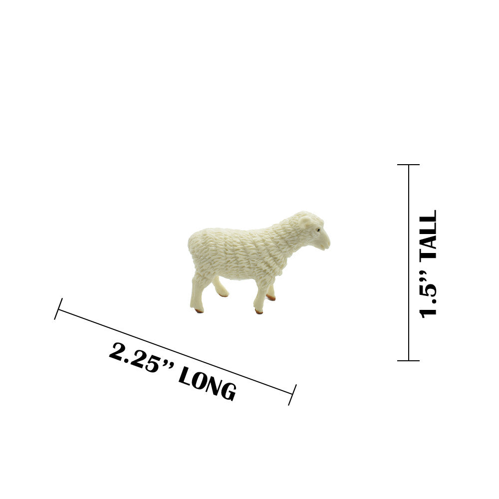 MEASUREMENTS