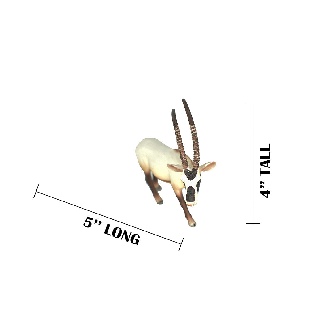 MEASUREMENTS