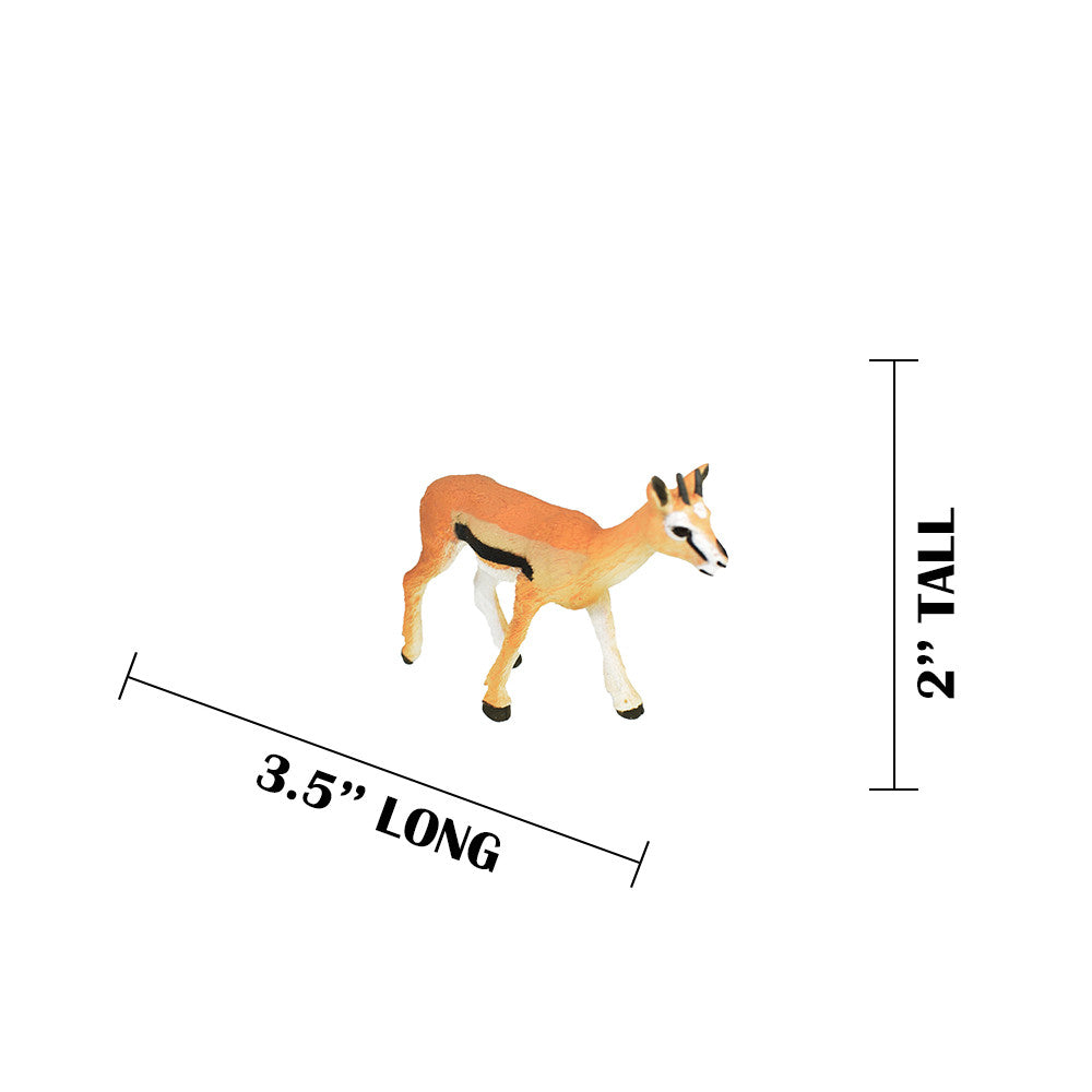 MEASUREMENTS