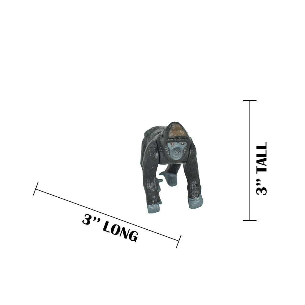 MEASUREMENTS