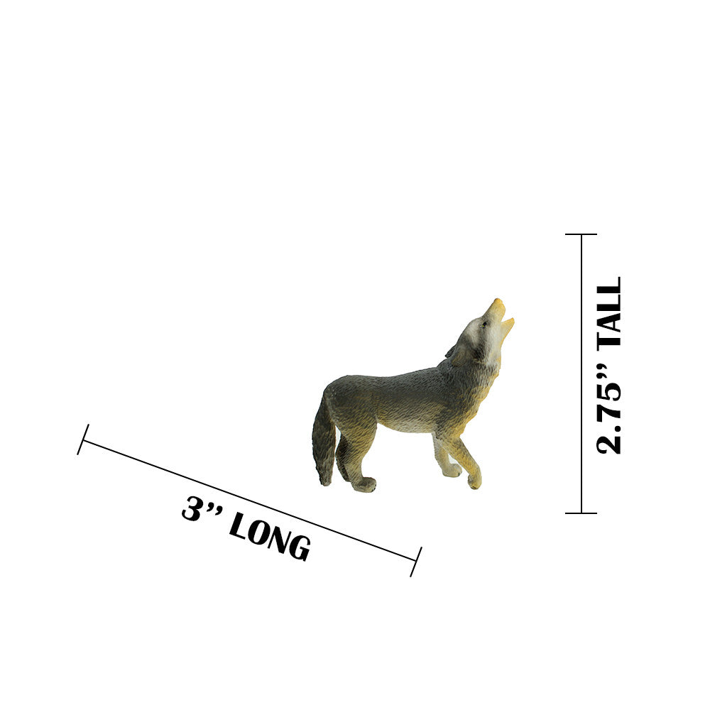 MEASUREMENTS