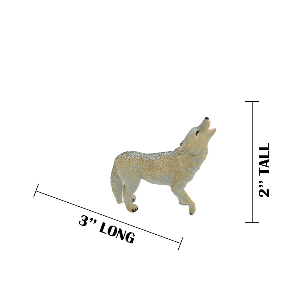 MEASUREMENTS
