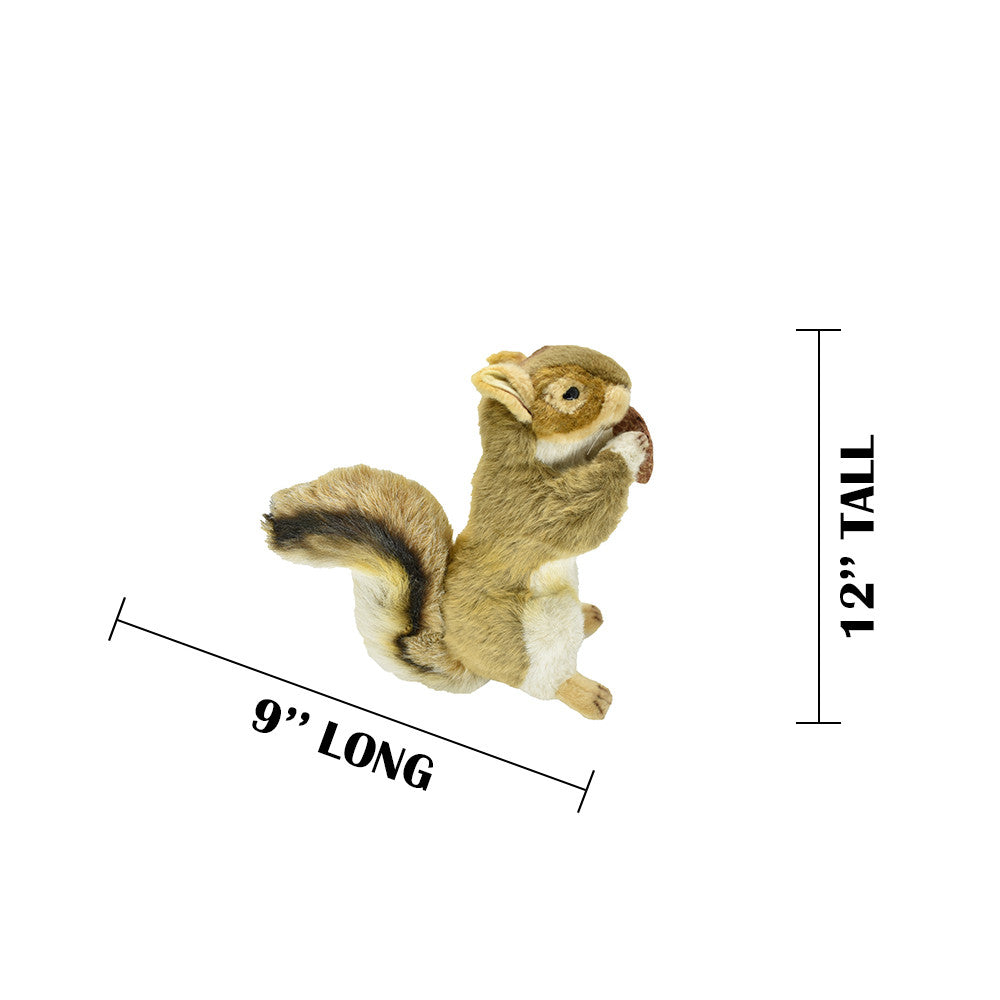 Squirrel, With Nut, Plush Toy, Soft Stuffed Animal, Realistic Model, Replica, Kids Educational Gift,       9.5"    F843 B101