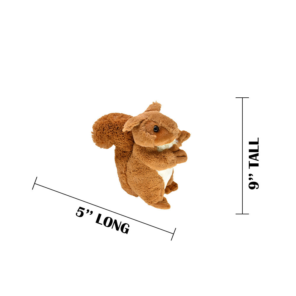 MEASUREMENTS