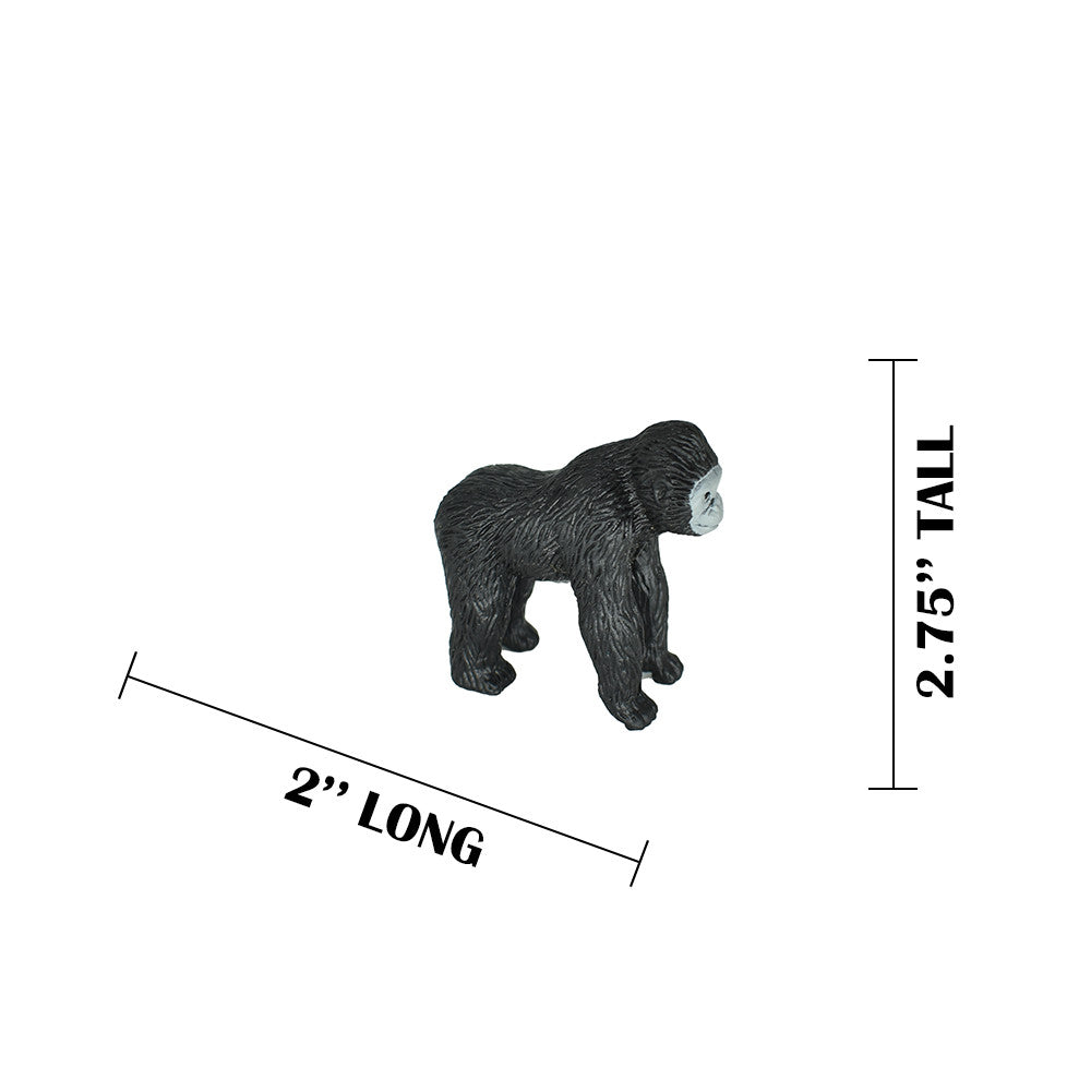 MEASUREMENTS
