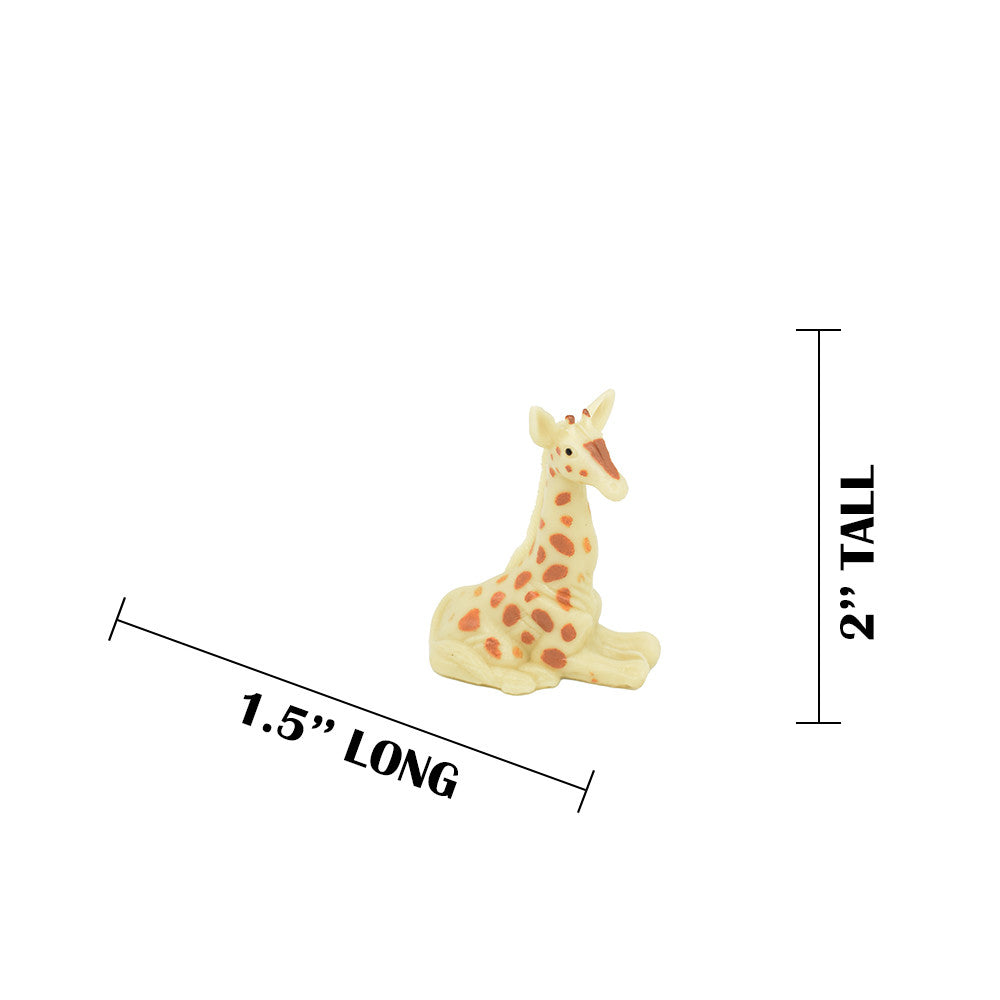 MEASUREMENTS