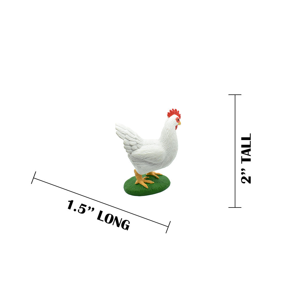 MEASUREMENTS