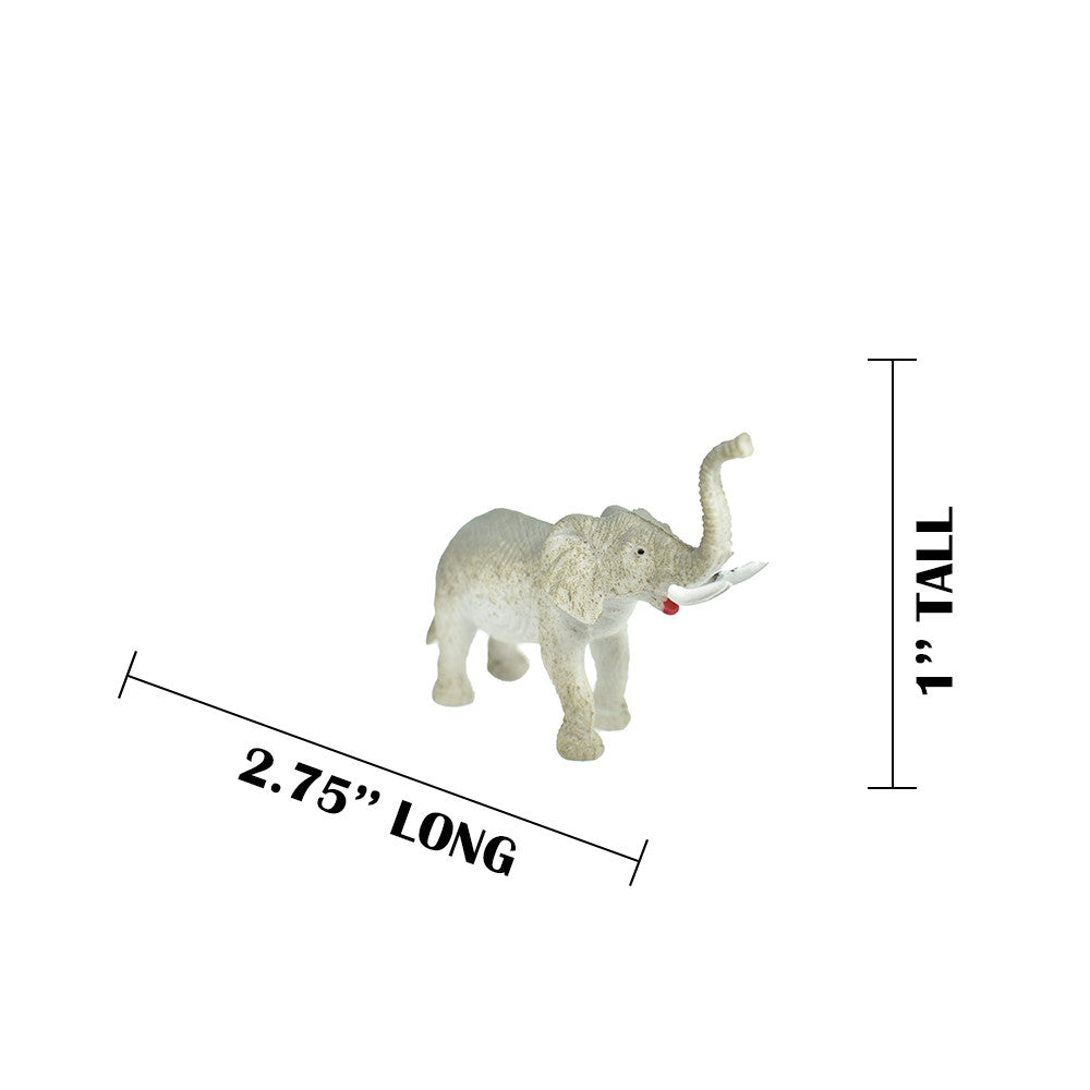 MEASUREMENTS