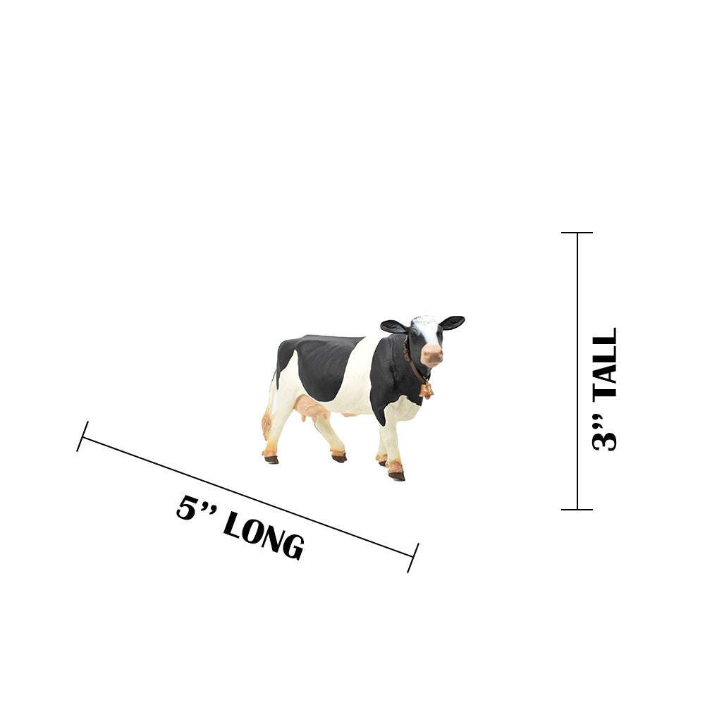MEASUREMENTS