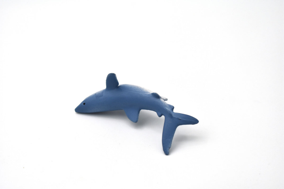 Mako Shark, Isurus oxyrinchus, Very Nice Rubber Fish, Educational, Realistic Figure, Lifelike Model, Figurine, Replica, Gift,   3"  SF01 B51