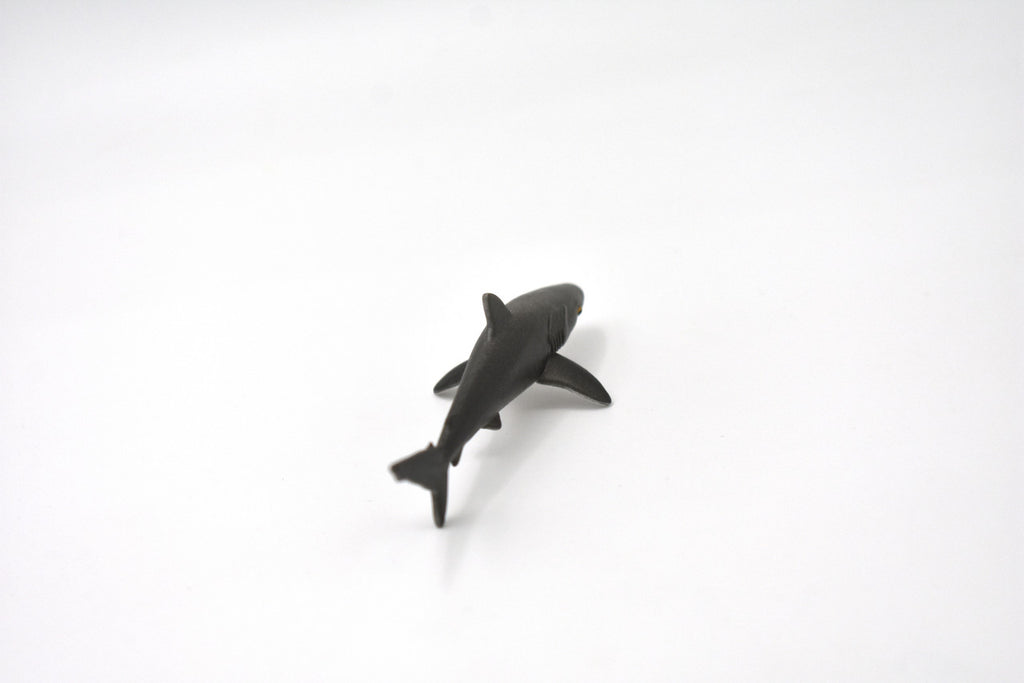 Silky Shark, Silky smooth shark, Very Nice Rubber Fish, Educational, Realistic Figure, Lifelike Model, Figurine, Replica, Gift,   3"   SF02 B51