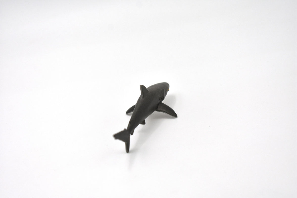 Silky Shark, Silky smooth shark, Very Nice Rubber Fish, Educational, Realistic Figure, Lifelike Model, Figurine, Replica, Gift,   3"   SF02 B51