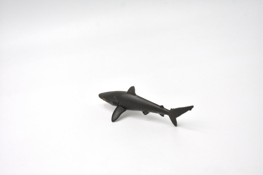 Silky Shark, Silky smooth shark, Very Nice Rubber Fish, Educational, Realistic Figure, Lifelike Model, Figurine, Replica, Gift,   3"   SF02 B51