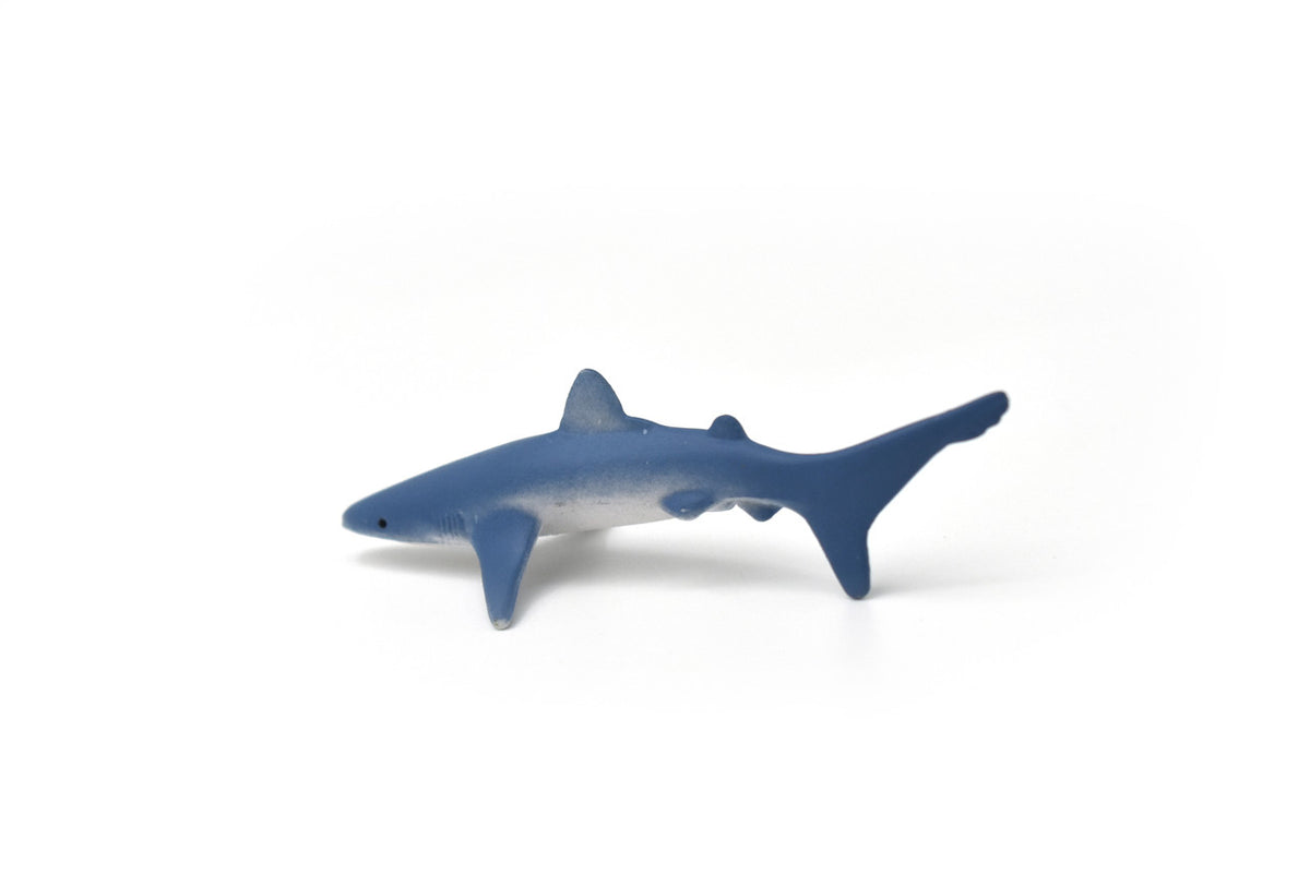 Blue Shark, Pelagic, Ocean, Very Nice Rubber Fish, Educational, Realistic Figure, Lifelike Model, Figurine, Replica, Gift,  3 1/4" 