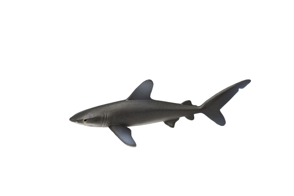 Whitetip Shark, Whitetip Reef Shark, Very Nice Rubber Fish, Educational, Realistic Figure, Lifelike Model, Figurine, Replica, Gift,   3"  