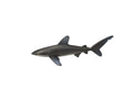 Whitetip Shark, Whitetip Reef Shark, Very Nice Rubber Fish, Educational, Realistic Figure, Lifelike Model, Figurine, Replica, Gift,   3"  