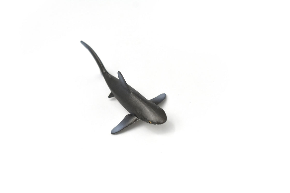 Whitetip Shark, Whitetip Reef Shark, Very Nice Rubber Fish, Educational, Realistic Figure, Lifelike Model, Figurine, Replica, Gift,   3"    SF05 B51
