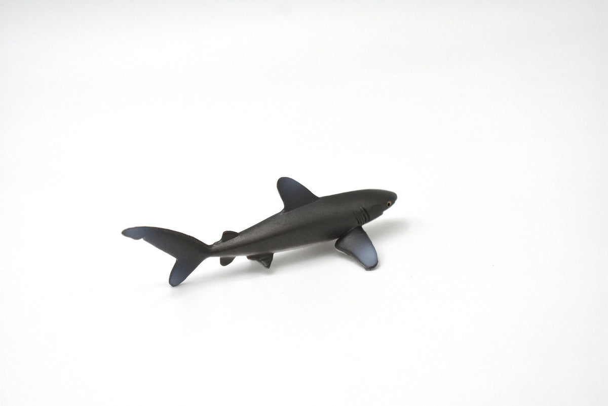 Whitetip Shark, Whitetip Reef Shark, Very Nice Rubber Fish, Educational, Realistic Figure, Lifelike Model, Figurine, Replica, Gift,   3"    SF05 B51