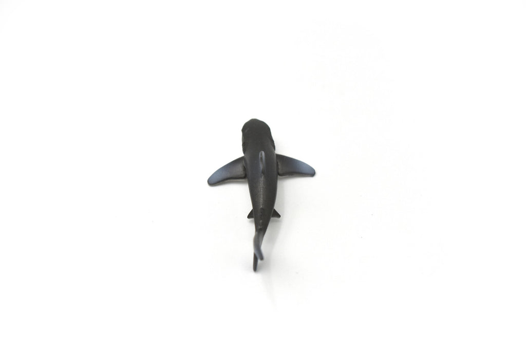 Whitetip Shark, Whitetip Reef Shark, Very Nice Rubber Fish, Educational, Realistic Figure, Lifelike Model, Figurine, Replica, Gift,   3"    SF05 B51
