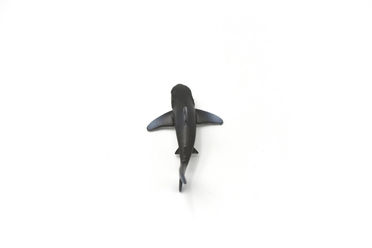 Whitetip Shark, Whitetip Reef Shark, Very Nice Rubber Fish, Educational, Realistic Figure, Lifelike Model, Figurine, Replica, Gift,   3"    SF05 B51
