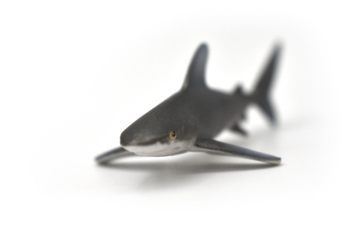 Whitetip Shark, Whitetip Reef Shark, Very Nice Rubber Fish, Educational, Realistic Figure, Lifelike Model, Figurine, Replica, Gift,   3"  