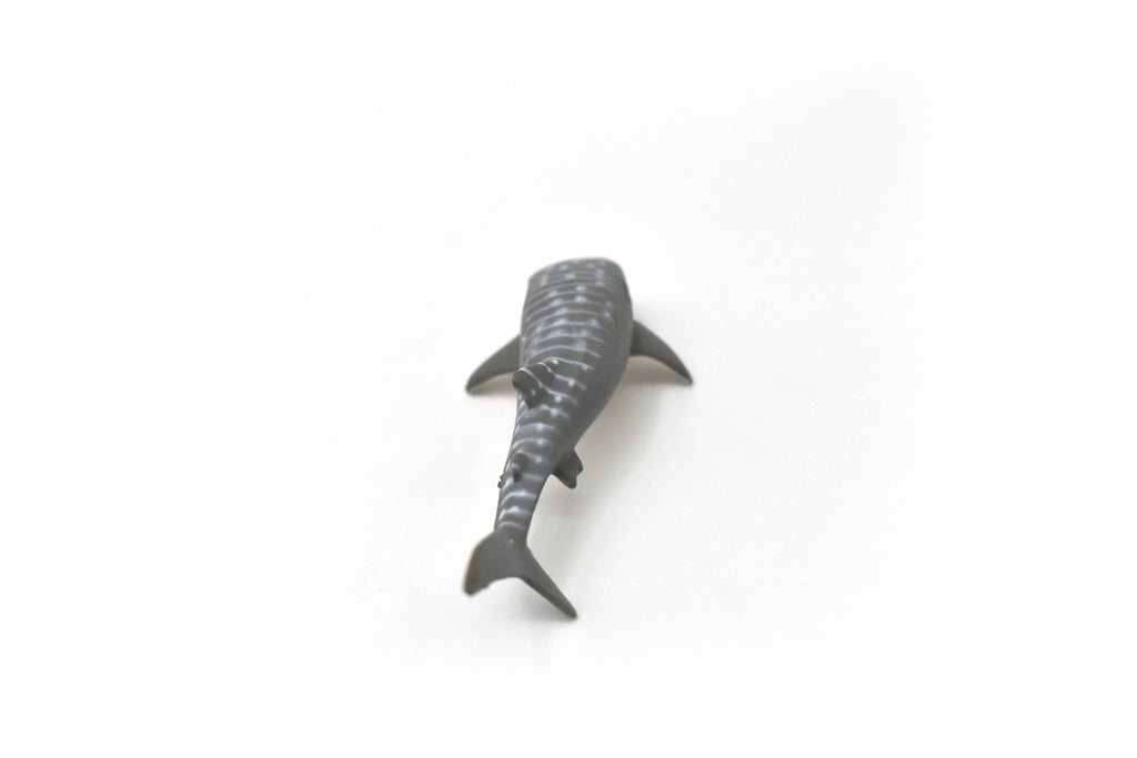 Whale Shark, Gentle Giant, Very Nice Rubber Fish, Educational, Realistic Figure, Lifelike Model, Figurine, Replica, Gift,    3 1/4"   SF06 B51