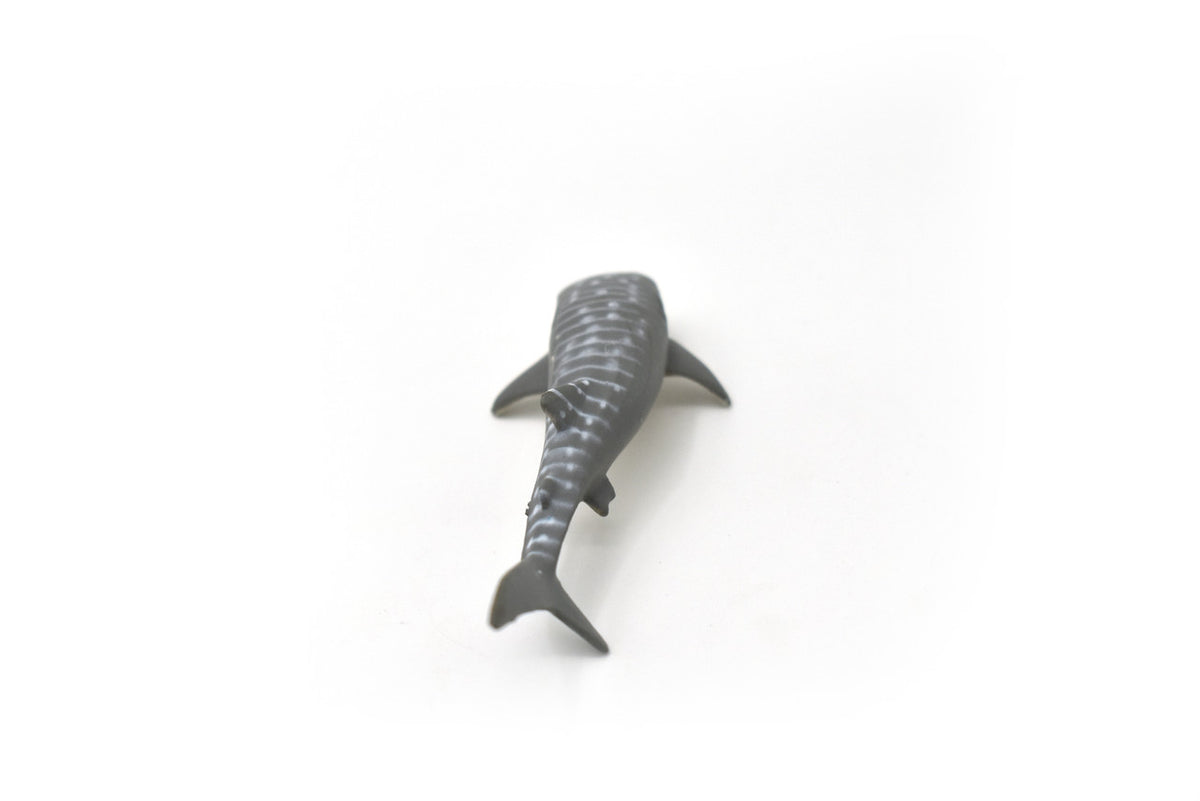 Whale Shark, Gentle Giant, Very Nice Rubber Fish, Educational, Realistic Figure, Lifelike Model, Figurine, Replica, Gift,    3 1/4"   SF06 B51
