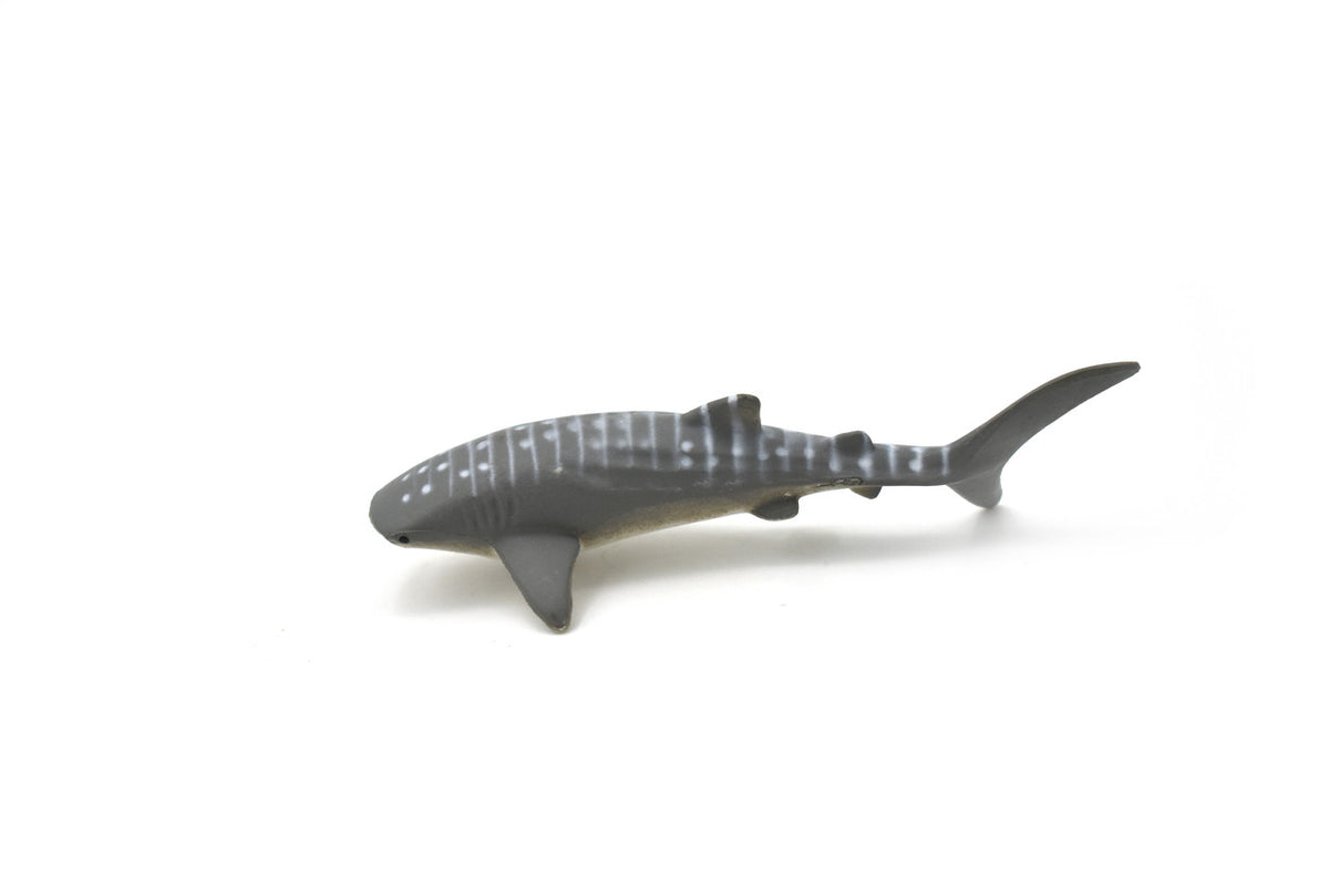 Whale Shark, Gentle Giant, Very Nice Rubber Fish, Educational, Realistic Figure, Lifelike Model, Figurine, Replica, Gift,    3 1/4"   SF06 B51
