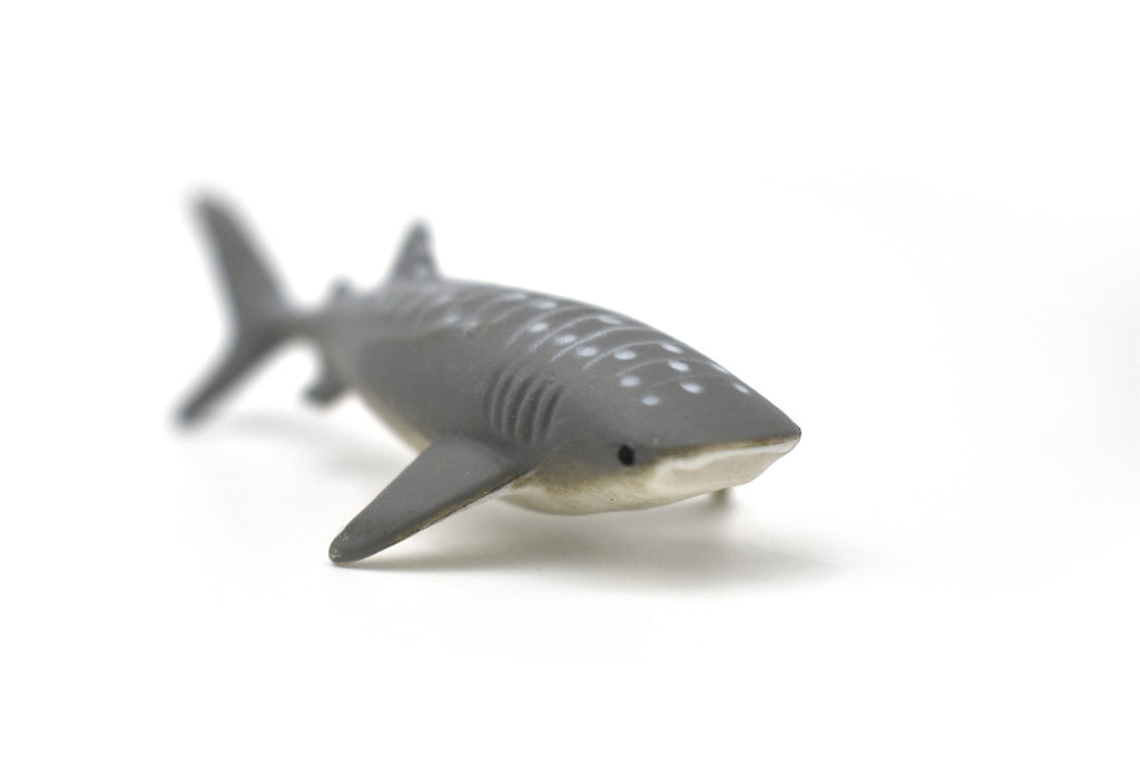 Whale Shark, Gentle Giant, Very Nice Rubber Fish, Educational, Realistic Figure, Lifelike Model, Figurine, Replica, Gift,    3 1/4"