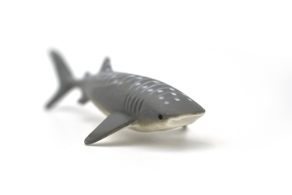 Whale Shark, Gentle Giant, Very Nice Rubber Fish, Educational, Realistic Figure, Lifelike Model, Figurine, Replica, Gift,    3 1/4"