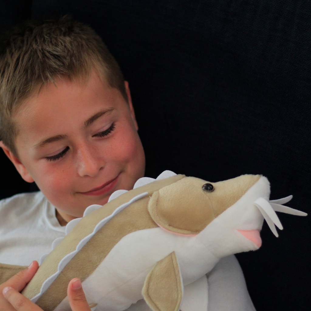 Sturgeon, Very Nice Plush Fish, Stuffed Animal, Educational, Toy, Kids, Realistic Figure, Gift,     17"