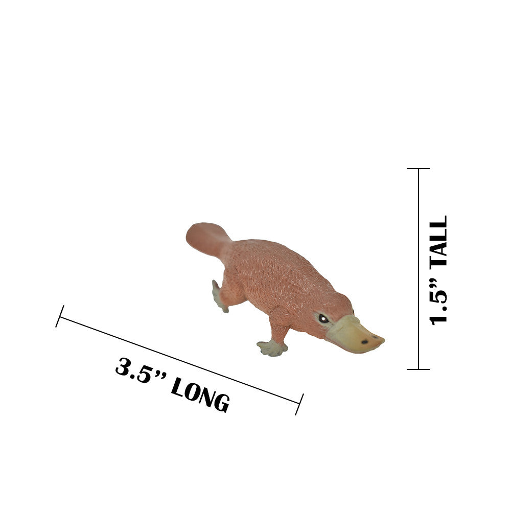 MEASUREMENTS