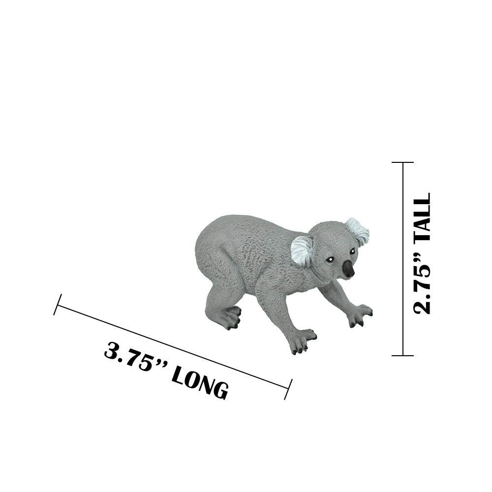 MEASUREMENTS