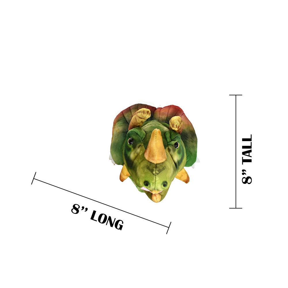 MEASUREMENTS