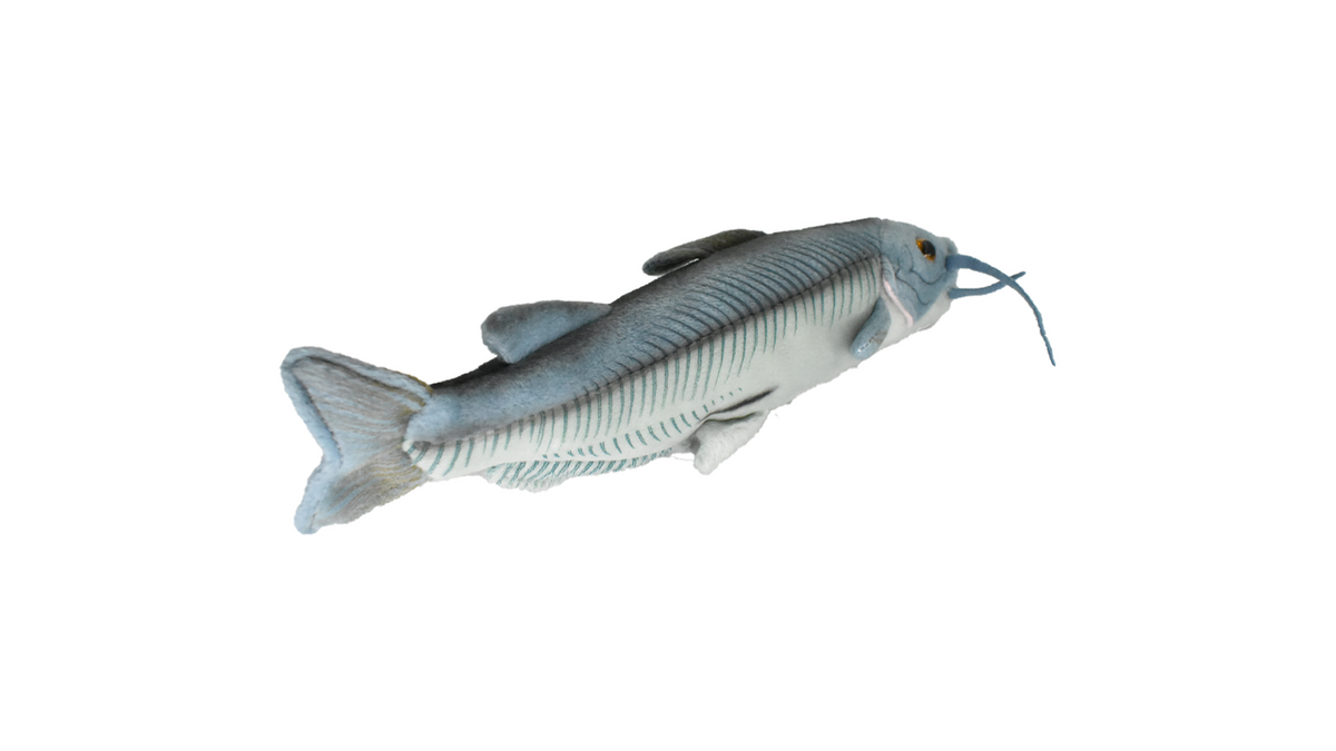 Blue Catfish, Fish, Very Nice Plush Fish, Stuffed Animal, Educational, Toy, Kids, Realistic Figure, Gift,          17" 