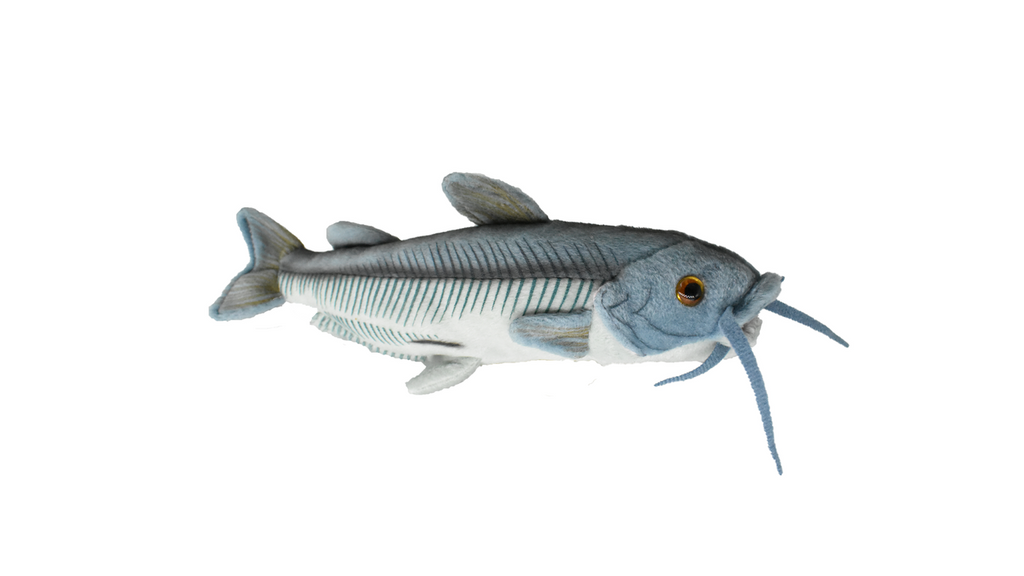 Blue Catfish, Fish, Very Nice Plush Fish, Stuffed Animal, Educational, Toy, Kids, Realistic Figure, Gift,          17" 