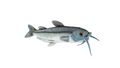 Blue Catfish, Fish, Very Nice Plush Fish, Stuffed Animal, Educational, Toy, Kids, Realistic Figure, Gift,          17" 