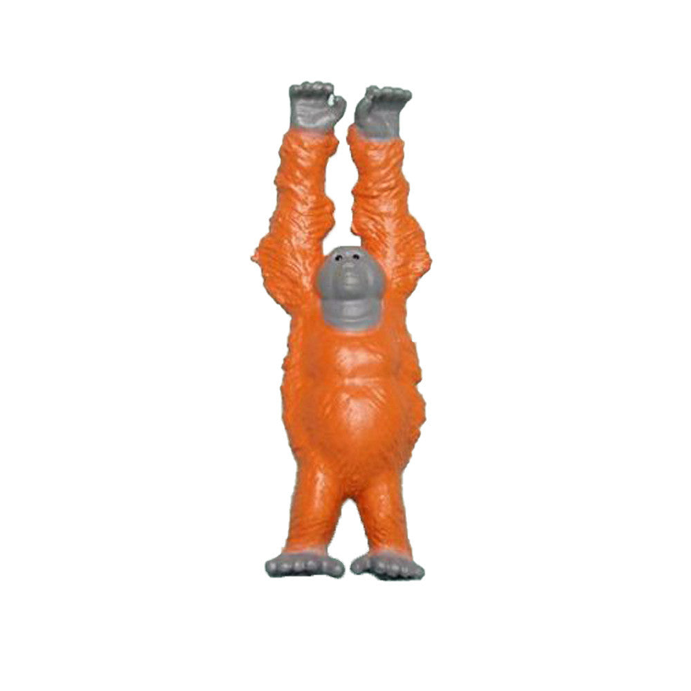 F776B85 main image