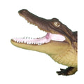 F453B6 main image