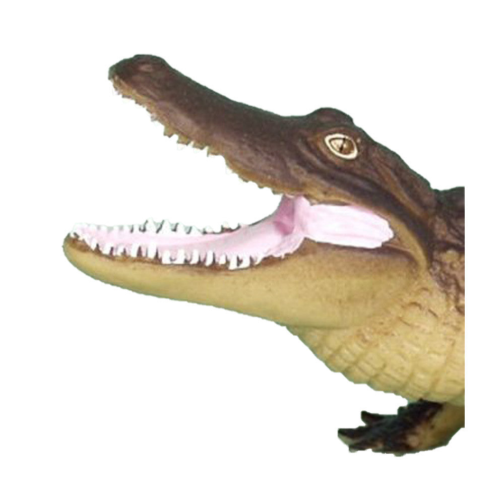 F453B6 main image