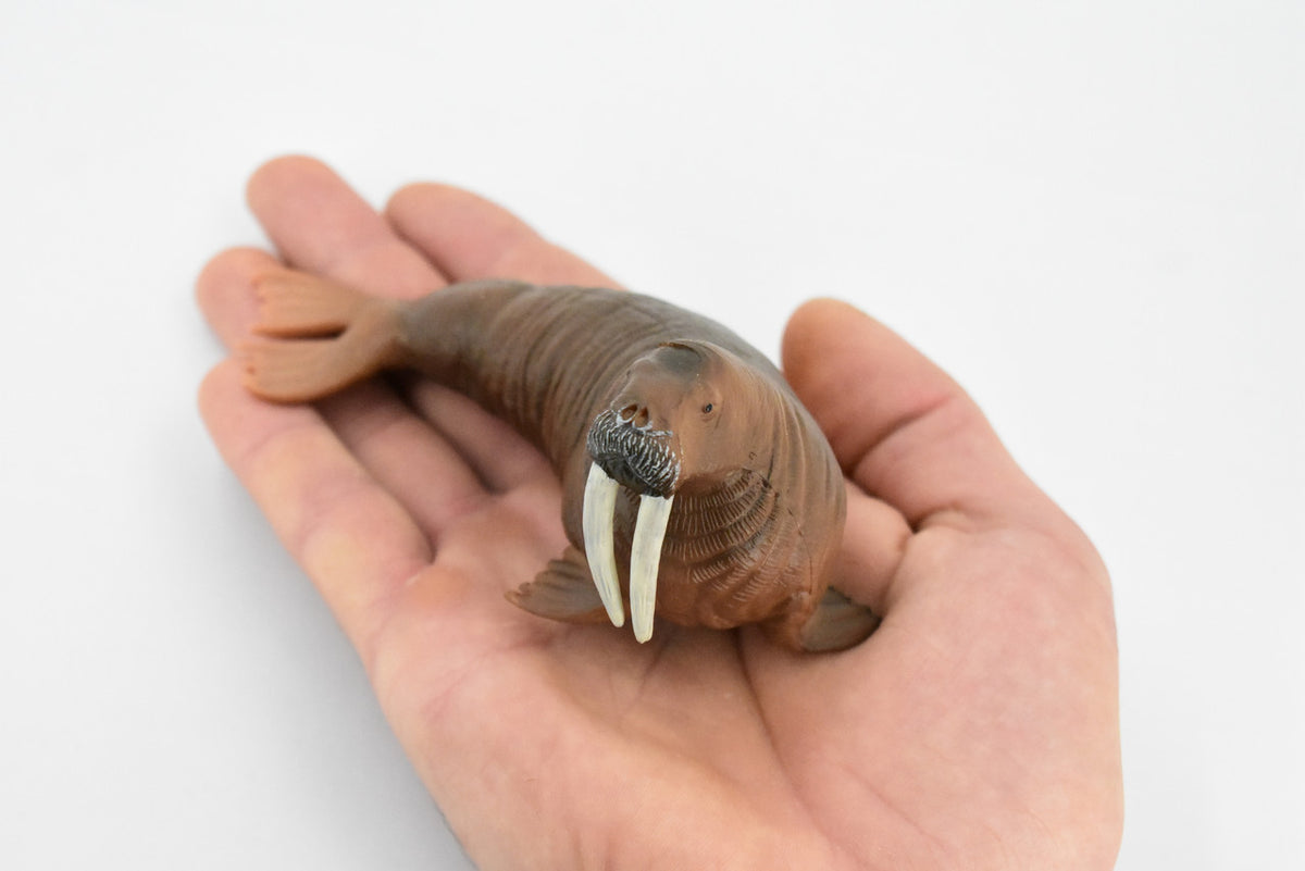 Walrus, Pinniped, Marine Mammal, Museum Quality, Educational, Hand Painted, Rubber, Realistic Toy Figure, Diorama Model, Replica, Kids,  5 Inches.