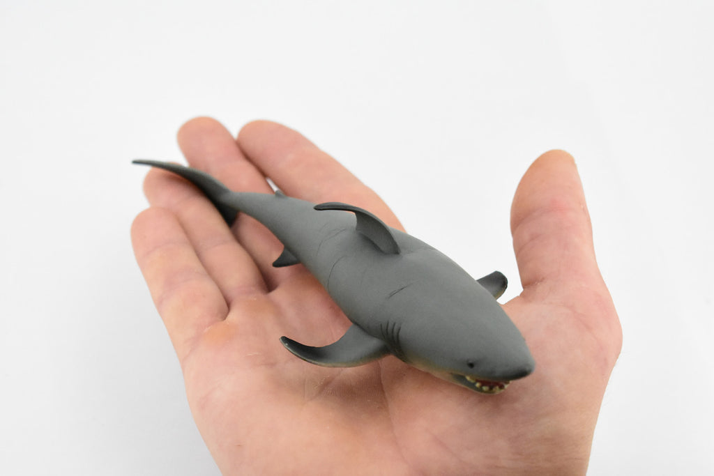 Black Tip Reef Shark, Museum Quality, Hand Painted,  Rubber Fish,  Educational, Diorama Model, Replica, Realistic Toy Figure, Kids,  7 Inches. 