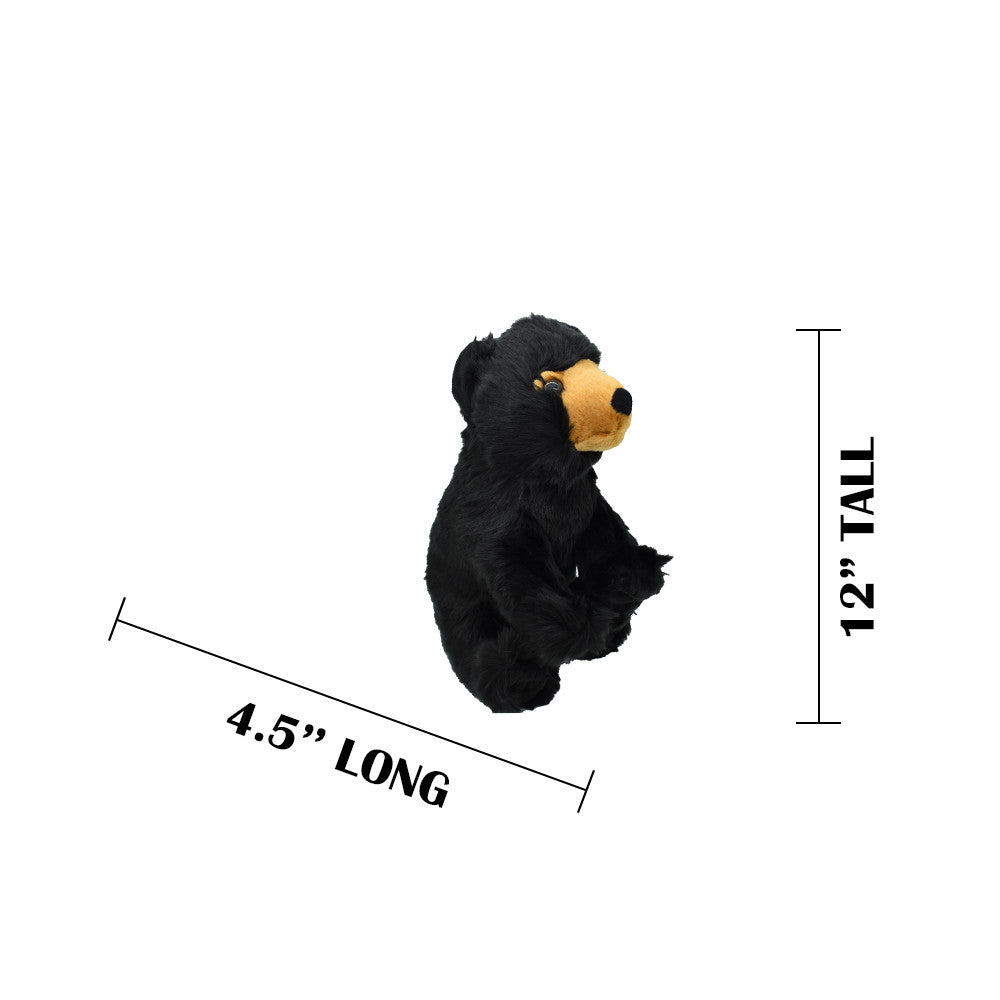 MEASUREMENTS