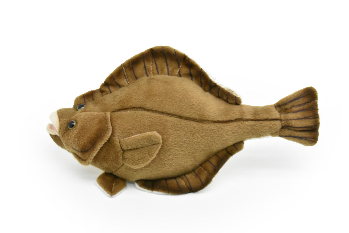 Flounder, Flat Fish, Dusky Flounder, Very Nice Plush Fish, Stuffed Animal, Educational, Realistic Figure, Gift,       10"